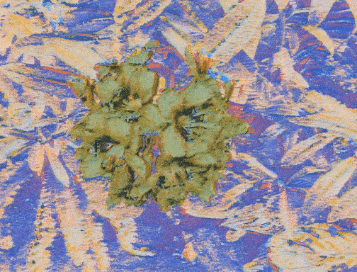 Preview of StyleRF: Zero-shot 3D Style Transfer of Neural Radiance Fields